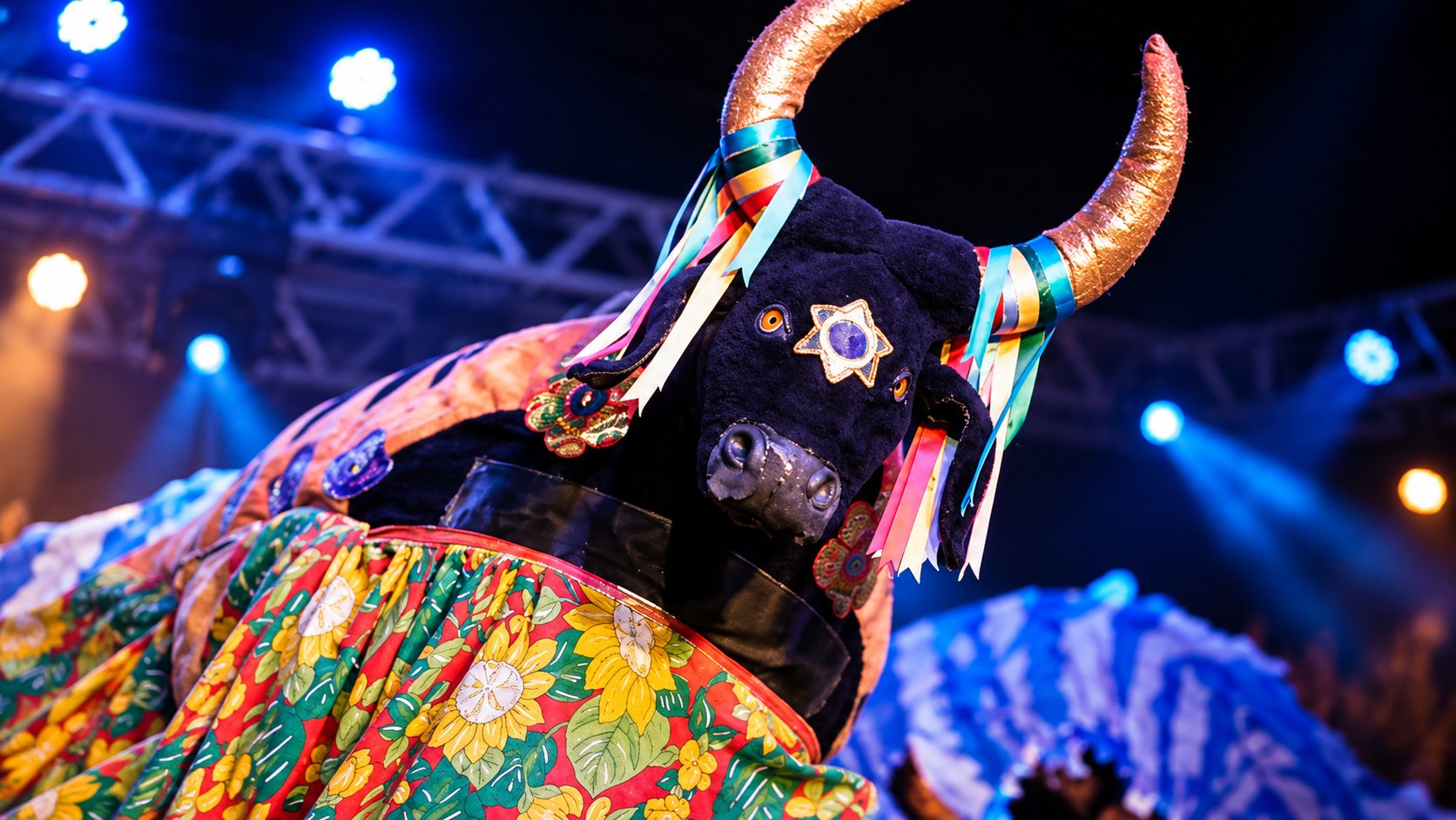 Boi folclórico do Macambirais com chifres dourados e fitas coloridas sob luzes de palco